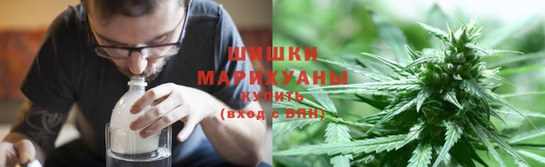 ГАЛЛЮЦИНОГЕННЫЕ ГРИБЫ Абаза