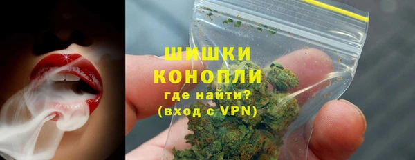 ГАЛЛЮЦИНОГЕННЫЕ ГРИБЫ Абаза