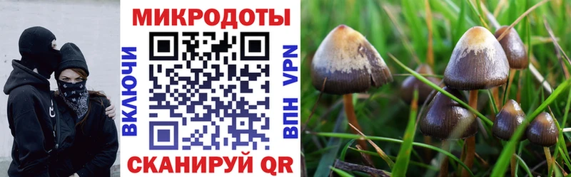 Галлюциногенные грибы прущие грибы  Барнаул 