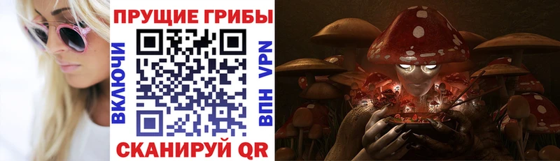 Псилоцибиновые грибы GOLDEN TEACHER Барнаул