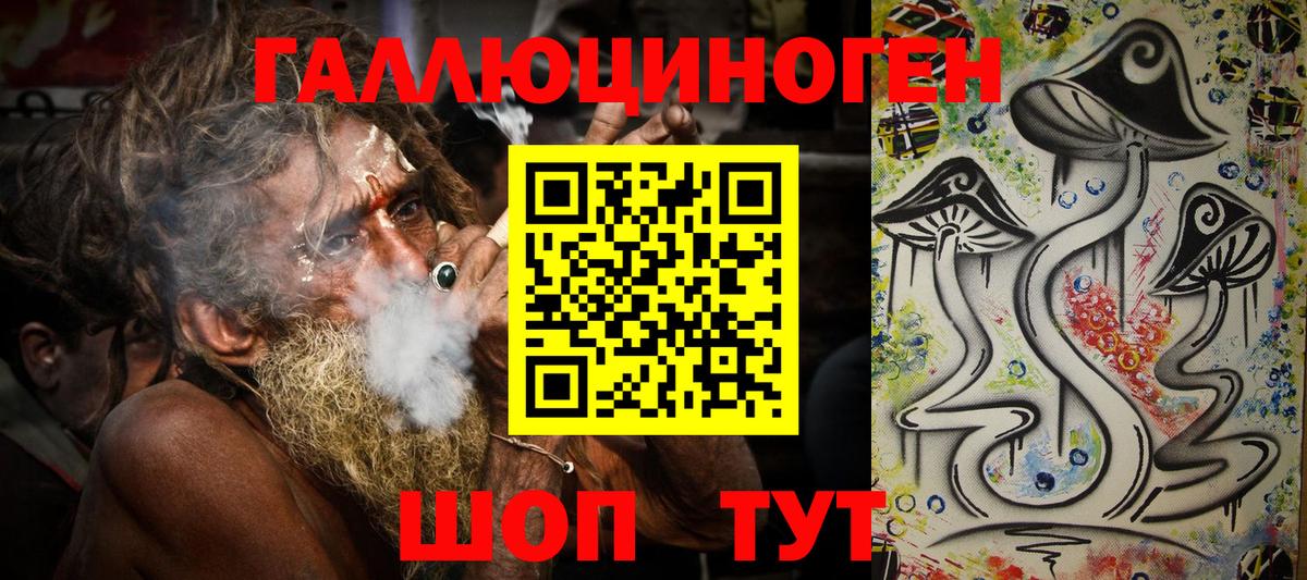 Псилоцибиновые грибы Cubensis Барнаул