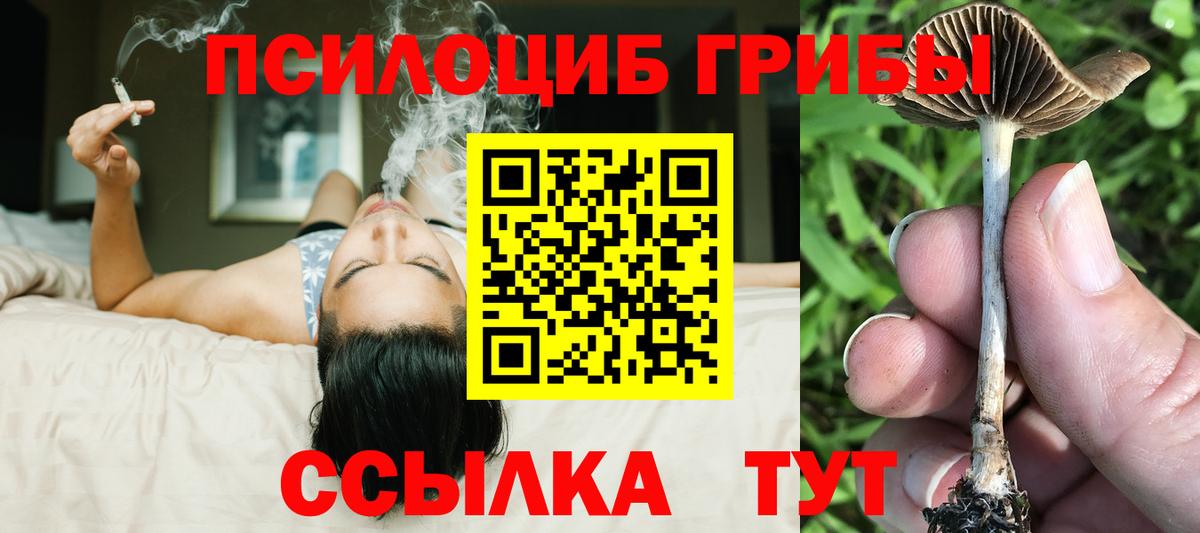 Барнаул  Псилоцибиновые грибы GOLDEN TEACHER  цены наркотик  Вход с VPN 